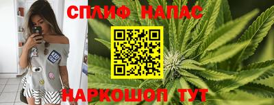 каннабис Славгород