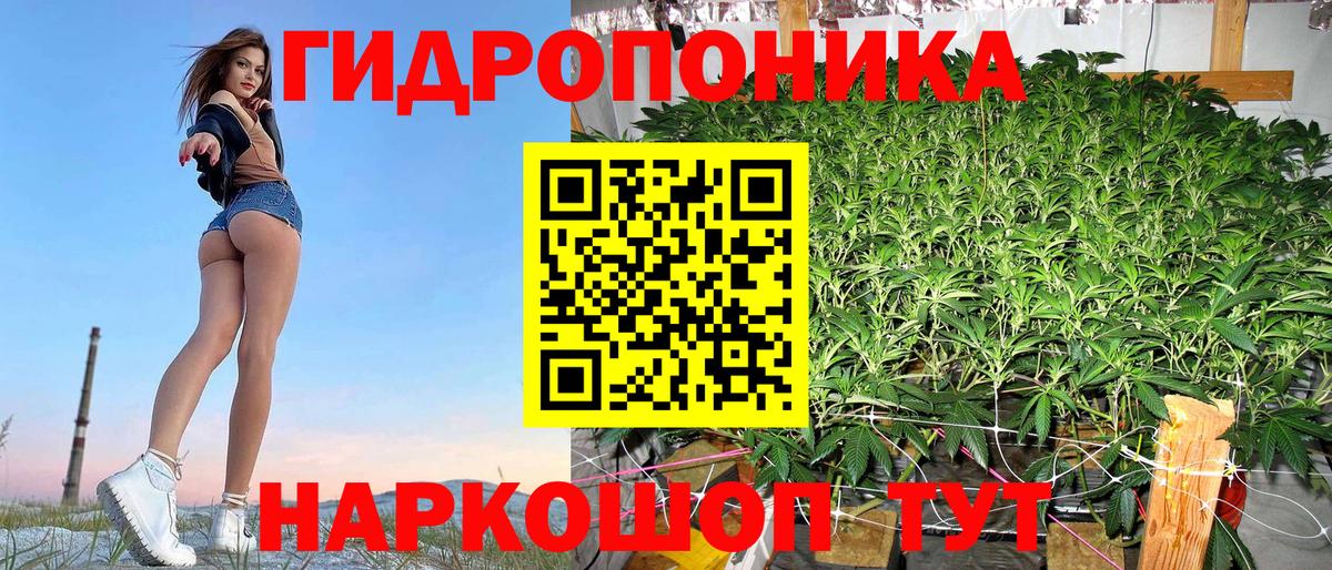 Конопля сатива Новый Уренгой